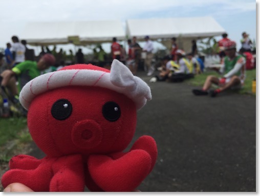 blog150922_1 - 18